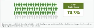 Non Hodgkin Lymphoma survival rate infographic