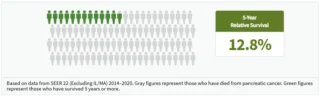 pancreatic-cancer survival rate Graphic.