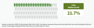 liver cancer survival rate chart