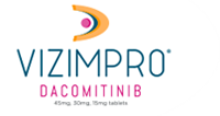 vizimpro