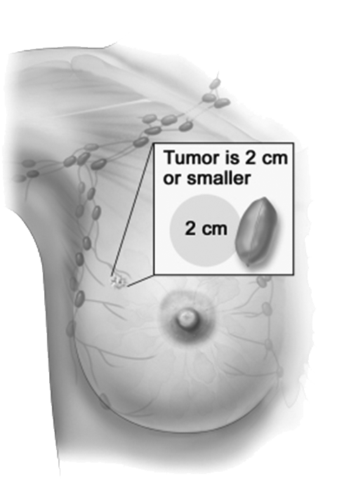 guide image